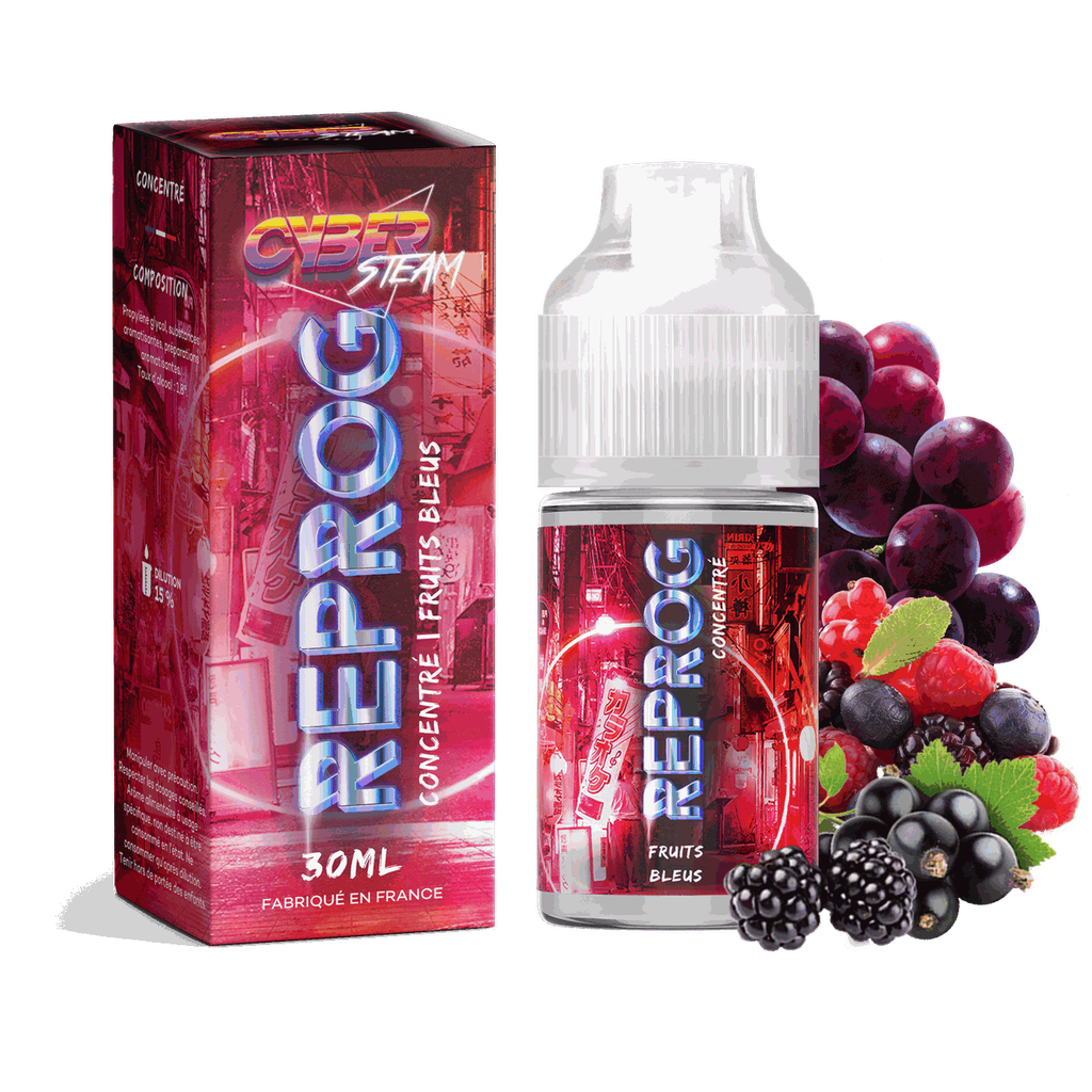 Cyber Steam Concentrés 30ml | Reprog