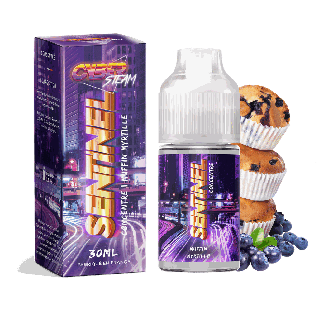 Cyber Steam Concentrés 30ml | Sentinel